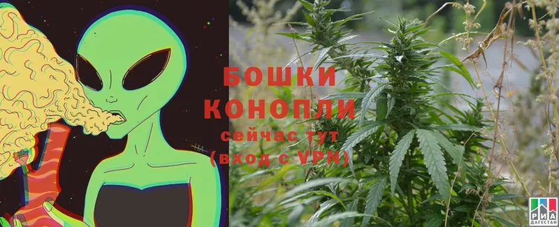 Шишки марихуана Ganja  Сафоново 